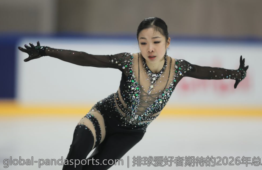 排球爱好者期待的2026年总决赛盛况