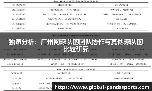 独家分析：广州网球队的团队协作与其他球队的比较研究